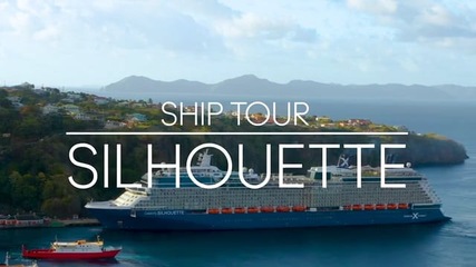 Photo Celebrity Silhouette