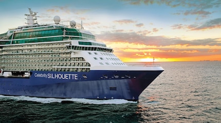 Photo Celebrity Silhouette