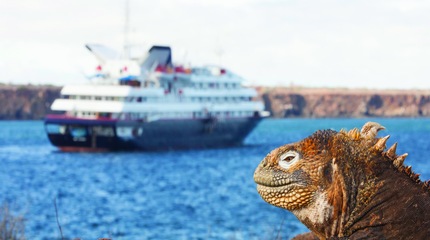 Photo Silver Galápagos