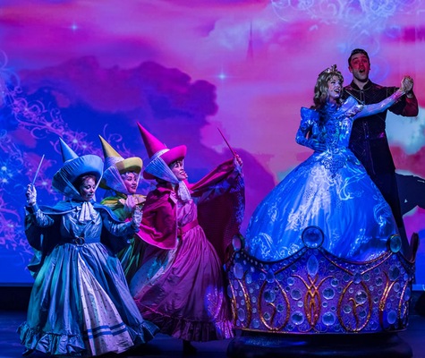 Image Disney Wonder 13