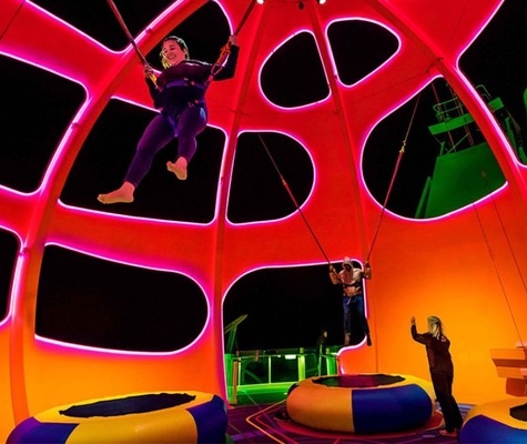 Image Navigator of the Seas 8