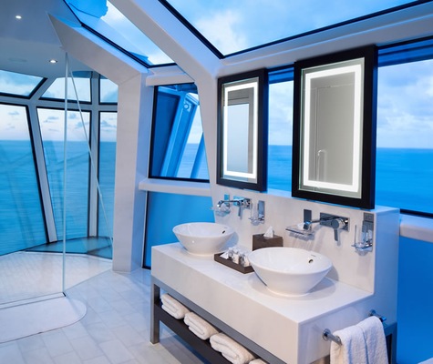 Image Celebrity Reflection 15