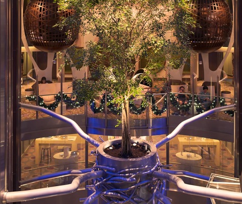 Image Celebrity Reflection 25