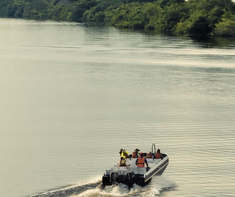 Image Grand Amazon 7