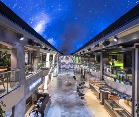 Image MSC Bellissima 43