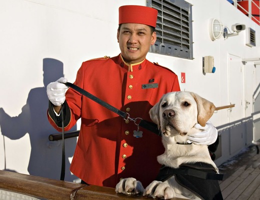 QM Steward