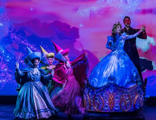 Image Disney Wonder 13
