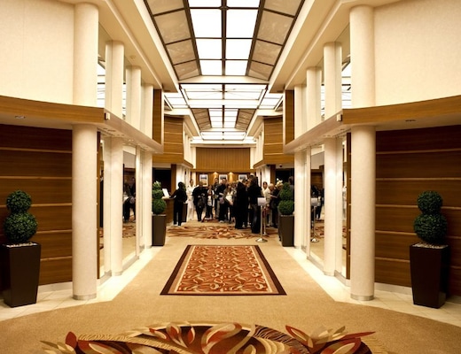 Image Horizon  10
