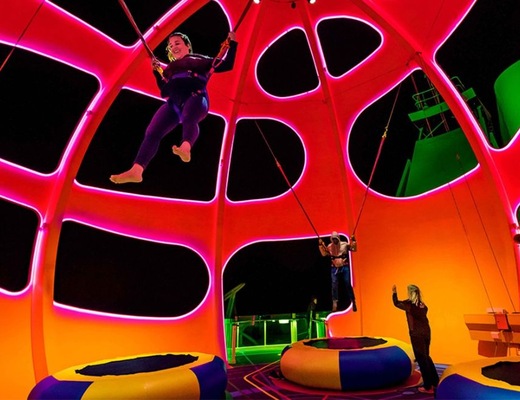 Image Navigator of the Seas 8