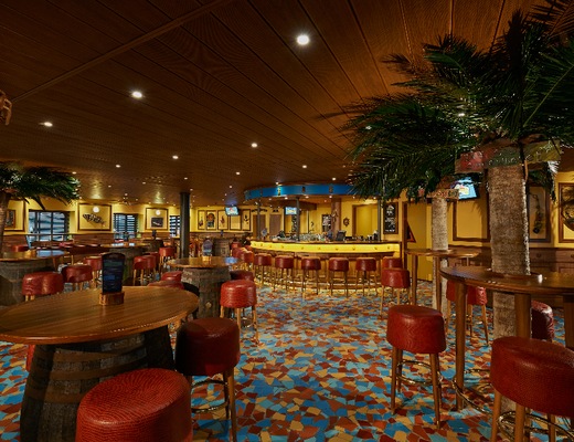 Image Carnival Pride 15