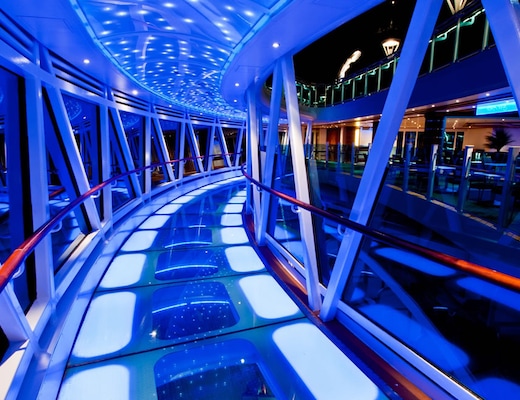 Image Regal Princess 18