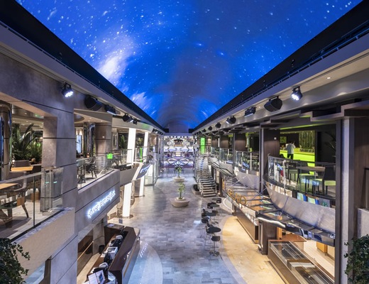 Image MSC Bellissima 43