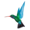 CARIBBEAN AIRLINES flights BW