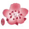 CHINA AIRLINES flights CI