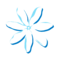 AIR TAHITI NUI flights TN
