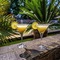 Hotel Cuevas - Adults Only - map