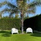Hotel Playa Canet - map