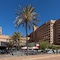 Hotel Las Palmeras Affiliated By Fergus - map