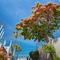 Los Olivos Beach Resort - map