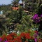 Hotel Parque Tropical - map