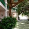 Apartamentos Hsa Ficus - map