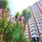 Clube Praia Da Rocha - map