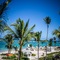 Majestic Colonial Punta Cana -  All Inclusive - map