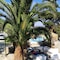 Naxos Summerland Resort - map