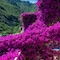 Positano Art Hotel Pasitea - map