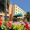 Meditur Hotel Pomezia - map