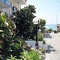Rosy Suites Hotel - map