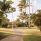 Plantation Hale Suites - map