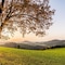 Sauerland Alpin Hotel - map