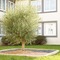 Hotel The Originals Tours Nord La Terrasse - map