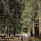 Tenaya Lodge At Yosemite - map