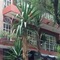 Residencia Polanco - map