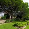 Bem Parece - map