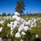 Lapland Hotels Kuopio - map