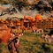 Disney's Animal Kingdom Lodge - map