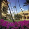 Halekulani Hotel - map