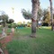 Papouis Protaras Hotel - map