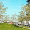 Quality Hotel Ulstein - map