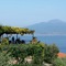 Grand Hotel Capodimonte - map