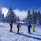 Chalet Hotel Du Bois - map