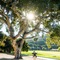 Carmel Valley Ranch - map