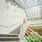Ark Hotel Sendai Aoba Dori - map