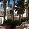 Las Rocas Resort And Spa - map