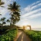 Grand Hyatt Kauai Resort & Spa - map