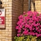 Best Western Plus Bentley Hotel, Leisure Club & Spa - map