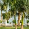 Nevo By Isrotel Collection - map